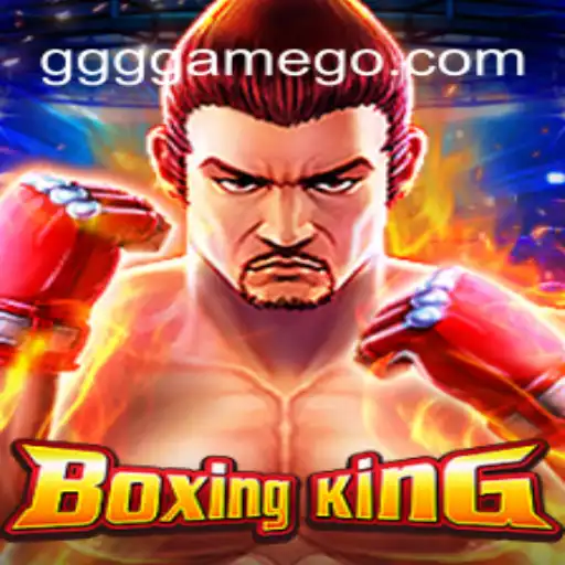 Explorando o Mundo de BoxingKing